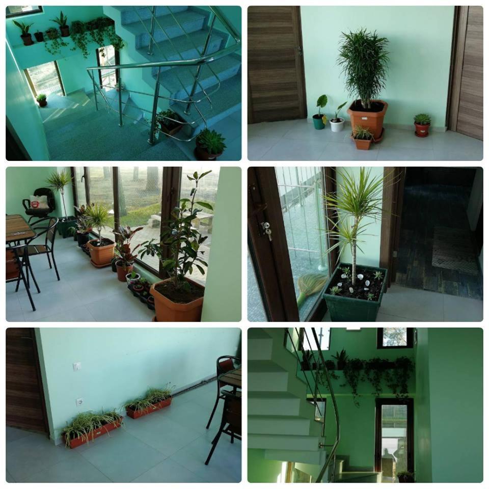 Shekvetili Green House Exterior photo